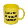 Top 10 ???? I Am A Ray of Sunshine Coffee Mug - 22 oz. ⭐