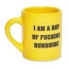 New ???? Ray of Fucking Sunshine Mug Shot Glass 1.5 oz. ????