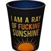 Outlet ⌛ I Am A Ray Of Fucking Sunshine Shot Glass - 2 oz. ????