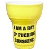 Best Pirce ???? Ray of Fucking Sunshine Coffee Mug - 16 oz. ????